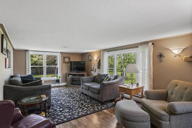 424 Carleton, Petoskey, MI 49770 - living area featuring a textured ceiling, wood finished floors, and healthy amount of natural light