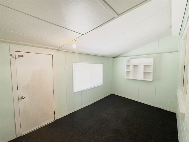 2343 Bonner Rd, Ferndale, MI 48220 - unfurnished room with lofted ceiling, dark colored carpet, and built in features