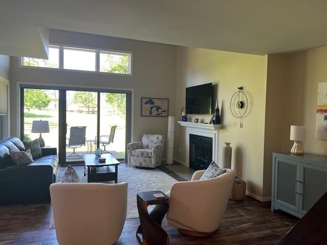 700 Fairways Dr Unit 14, Harbor Springs, MI 49740 - living room featuring a glass covered fireplace, plenty of natural light, and wood finished floors