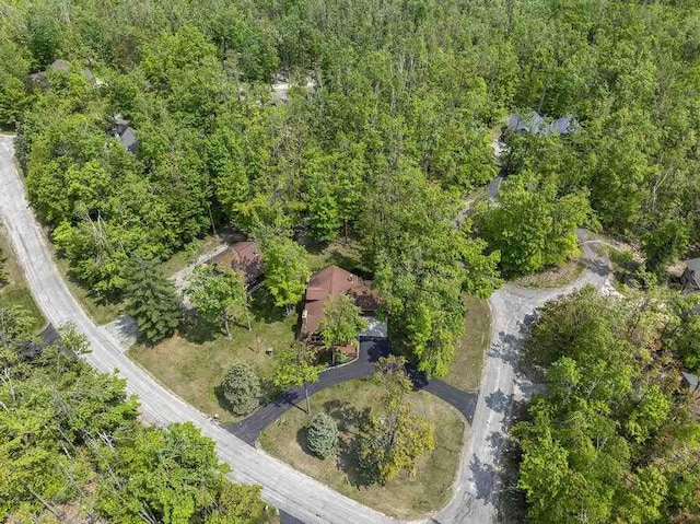 6989 Meadowlark Way, Gaylord, MI 49735 - drone / aerial view