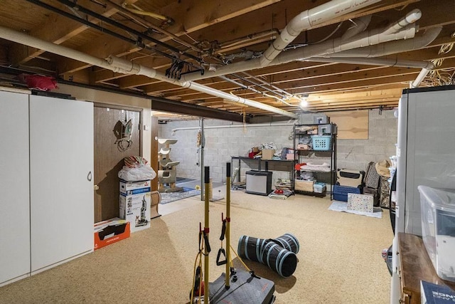 6989 Meadowlark Way, Gaylord, MI 49735 - unfinished below grade area featuring concrete block wall