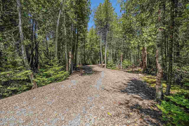 7177 Albany Point Rd, Presque Isle, MI 49777 - view of road with a wooded view