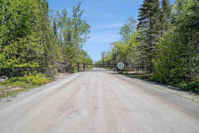 7177 Albany Point Rd, Presque Isle, MI 49777 - view of dirt / gravel road featuring a gate