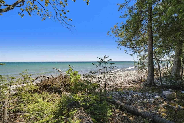 7177 Albany Point Rd, Presque Isle, MI 49777 - water view