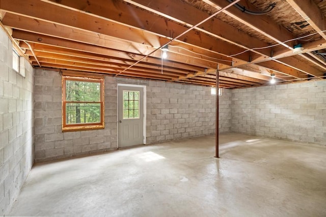 3049 Chippewa Beach Rd, Indian River, MI 49749 - view of basement