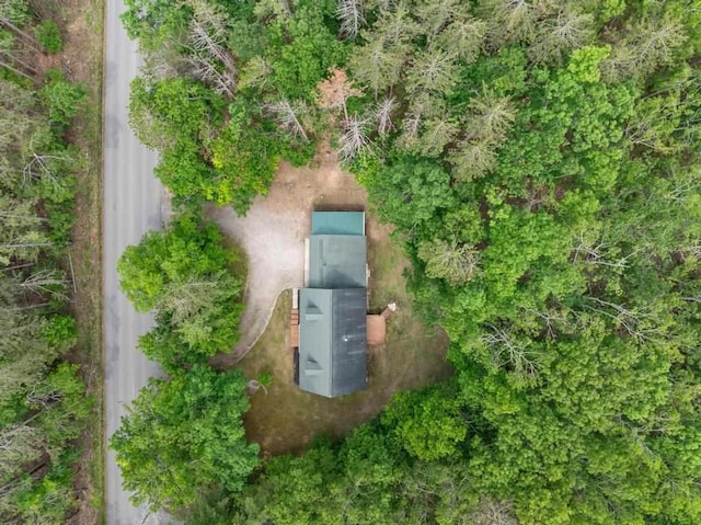 3049 Chippewa Beach Rd, Indian River, MI 49749 - drone / aerial view