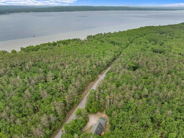 3049 Chippewa Beach Rd, Indian River, MI 49749 - bird's eye view of a forest and a nearby body of water
