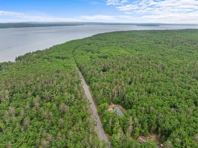 3049 Chippewa Beach Rd, Indian River, MI 49749 - aerial view of property's location with a forest and a nearby body of water