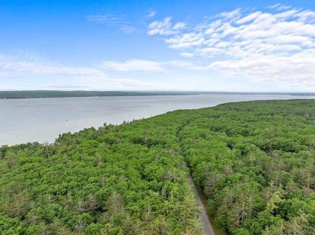 3049 Chippewa Beach Rd, Indian River, MI 49749 - water view with a heavily wooded area