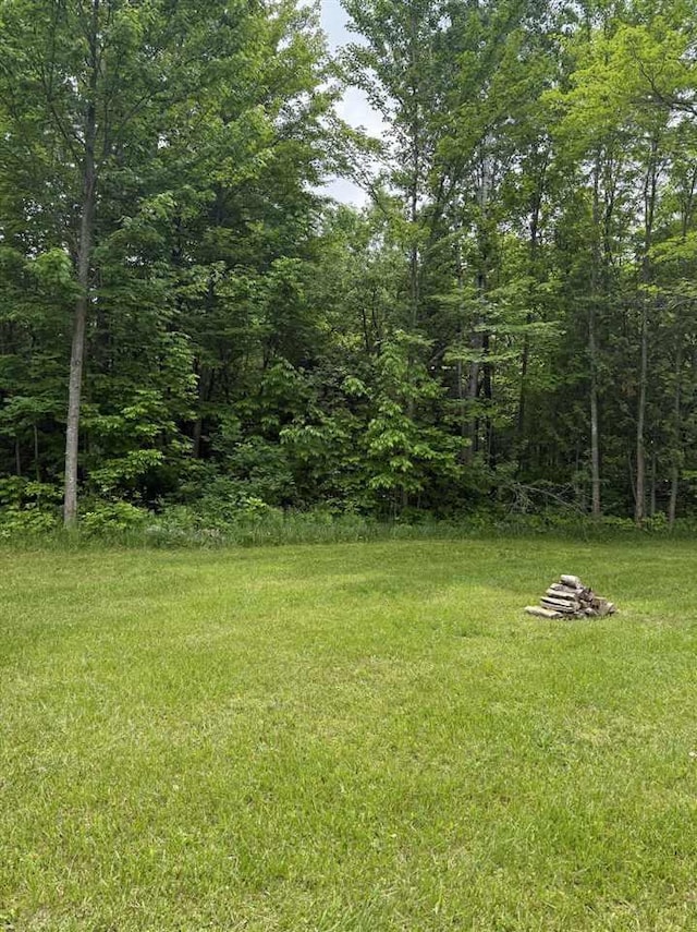6515 Pincherry Rd, Charlevoix, MI 49720 - view of yard featuring a view of trees