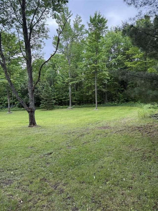 6515 Pincherry Rd, Charlevoix, MI 49720 - view of green lawn