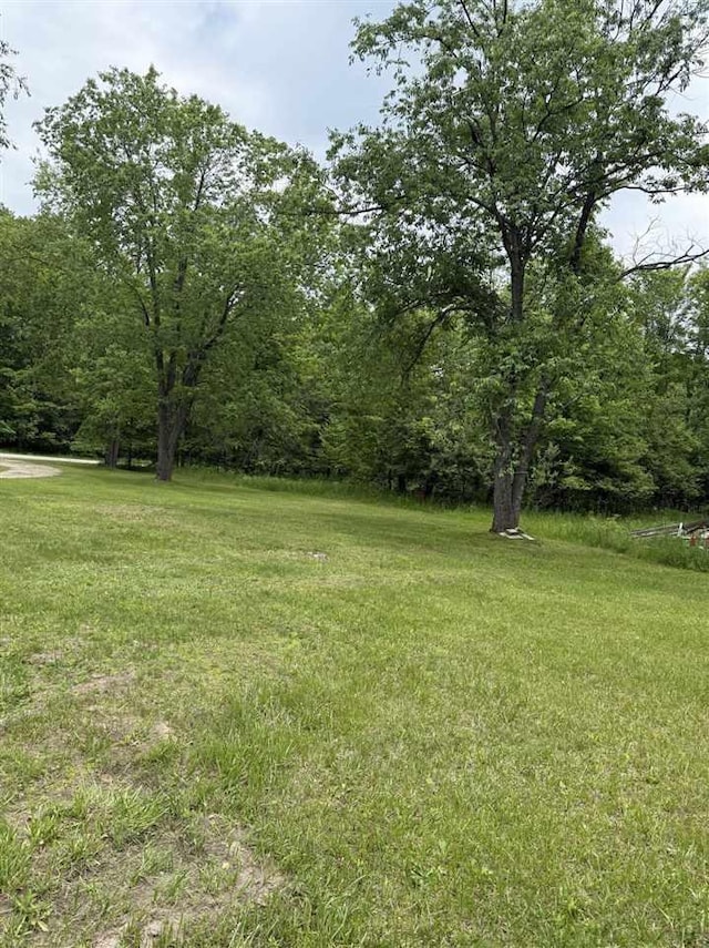 6515 Pincherry Rd, Charlevoix, MI 49720 - view of green lawn