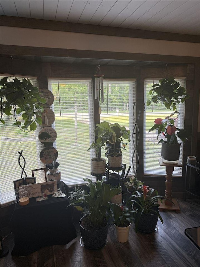 6515 Pincherry Rd, Charlevoix, MI 49720 - view of sunroom