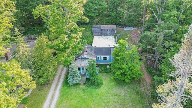 5272 Indian Garden Rd, Petoskey, MI 49770 - view from above of property featuring a forest