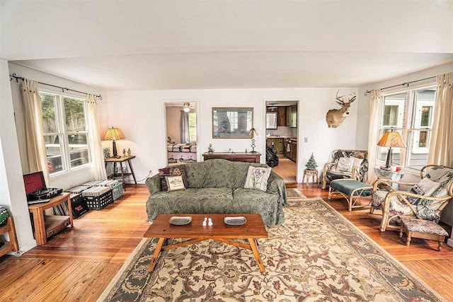 5272 Indian Garden Rd, Petoskey, MI 49770 - living room with light wood finished floors