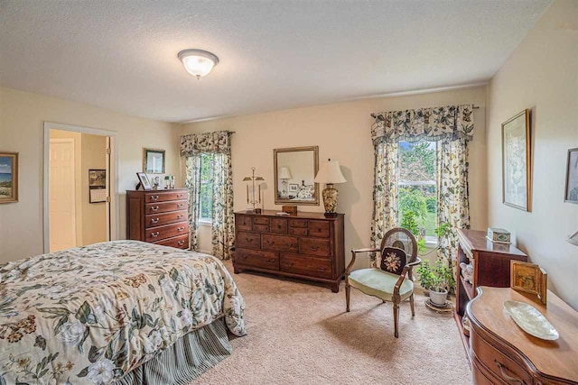 7879 Bay Meadow Dr, Harbor Springs, MI 49740 - view of carpeted bedroom