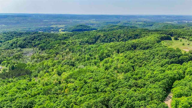 1922 Freeman Rd, East Jordan, MI 49727 - drone / aerial view of a forest
