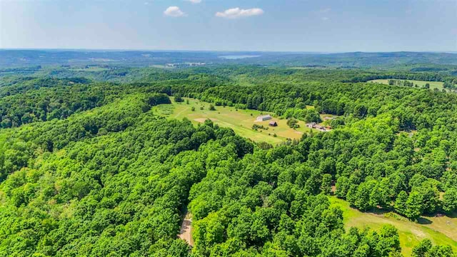 1922 Freeman Rd, East Jordan, MI 49727 - aerial view of a forest