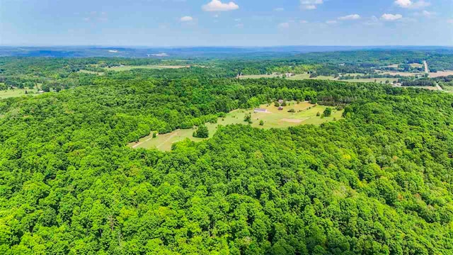 1922 Freeman Rd, East Jordan, MI 49727 - aerial view of a heavily wooded area