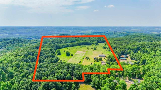 1922 Freeman Rd, East Jordan, MI 49727 - aerial view of property and surrounding area with property boundaries highlighted