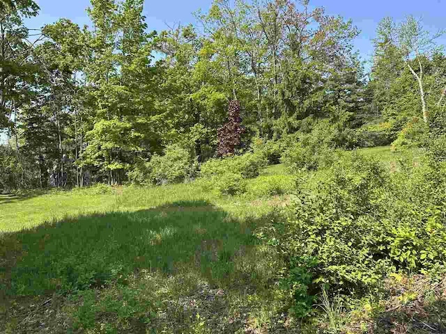 443 Summit St, Harbor Springs, MI 49740