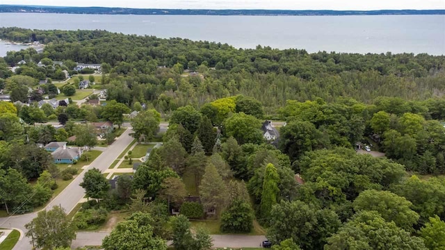 443 Summit St, Harbor Springs, MI 49740