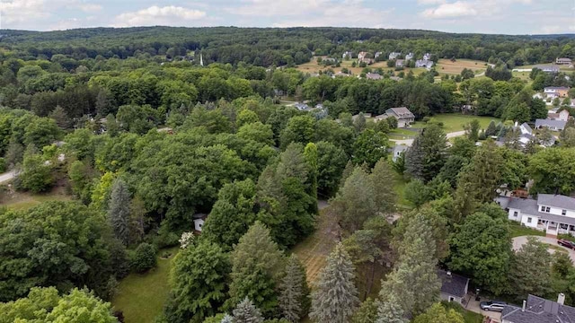 443 Summit St, Harbor Springs, MI 49740