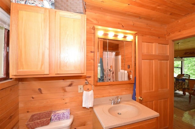 1340 Zink Rd, Boyne City, MI 49712 - bathroom featuring vanity, wooden walls, and curtained shower