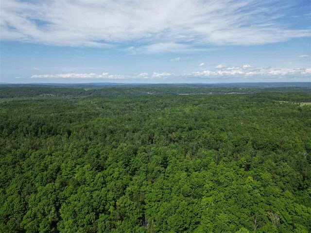 1340 Zink Rd, Boyne City, MI 49712 - drone / aerial view of a forest