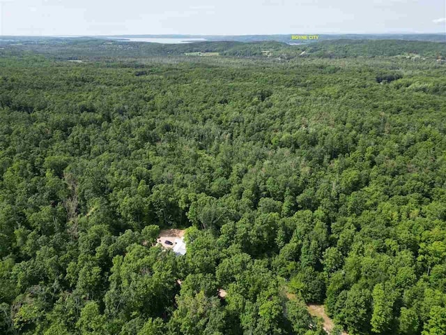 1340 Zink Rd, Boyne City, MI 49712 - view of property location featuring a forest
