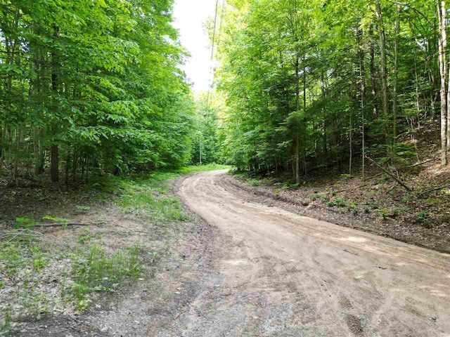 1340 Zink Rd, Boyne City, MI 49712 - view of dirt / gravel road with a forest view