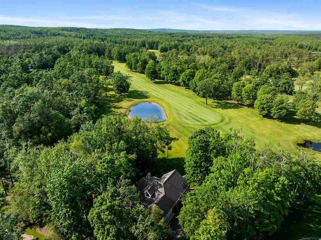 690 Woodhill Unit 6, Harbor Springs, MI 49740 - aerial view of property and surrounding area featuring a forest and a nearby body of water