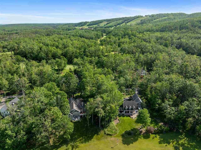 690 Woodhill Unit 6, Harbor Springs, MI 49740 - bird's eye view of a forest