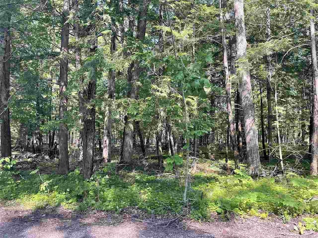 TBD Bridge Street, Harbor Springs, MI 49740