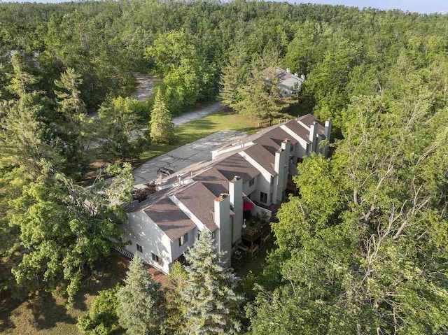 1185 Hideaway Valley Dr Unit 60, Harbor Springs, MI 49740 - aerial view of property and surrounding area featuring a heavily wooded area