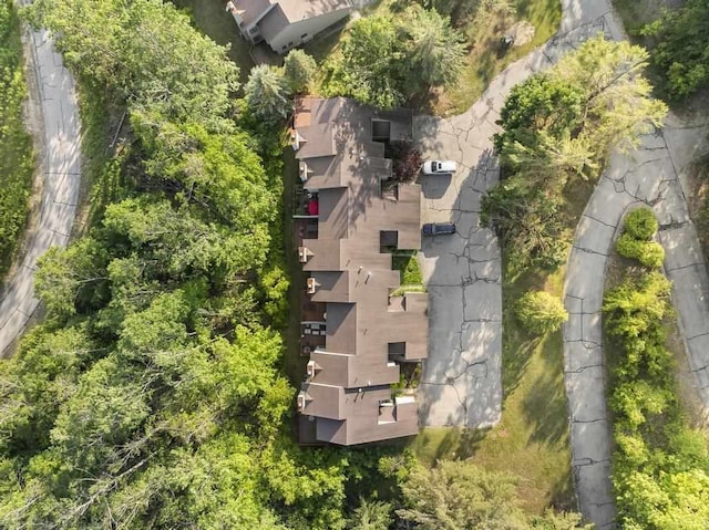 1185 Hideaway Valley Dr Unit 60, Harbor Springs, MI 49740 - view from above of property