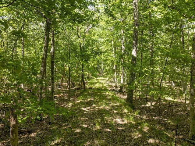 643 N Lake Shore Dr, Harbor Springs, MI 49740