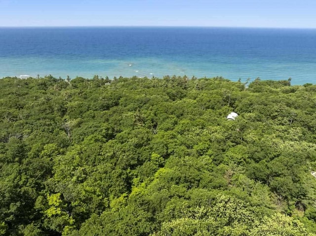 643 N Lake Shore Dr, Harbor Springs, MI 49740
