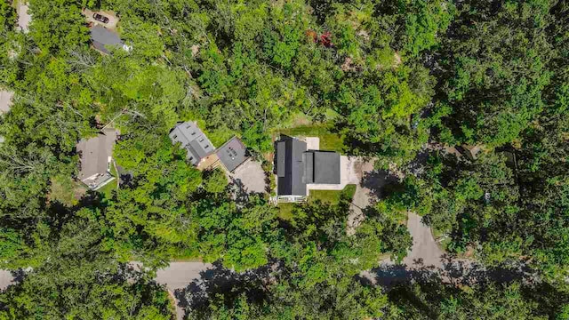 5277 Tyrol Ln, Harbor Springs, MI 49740 - drone / aerial view