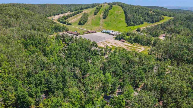 5277 Tyrol Ln, Harbor Springs, MI 49740 - aerial overview of property's location with a heavily wooded area