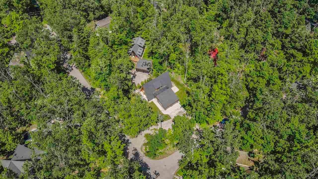 5277 Tyrol Ln, Harbor Springs, MI 49740 - drone / aerial view