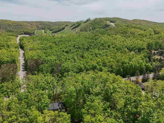 104 Meadow Wood Dr, Harbor Springs, MI 49740 - drone / aerial view of a heavily wooded area