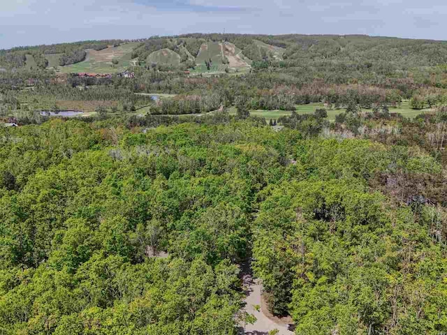 104 Meadow Wood Dr, Harbor Springs, MI 49740 - view of mountain backdrop featuring a forest