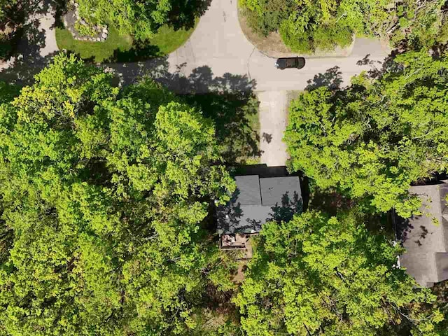 104 Meadow Wood Dr, Harbor Springs, MI 49740 - aerial view
