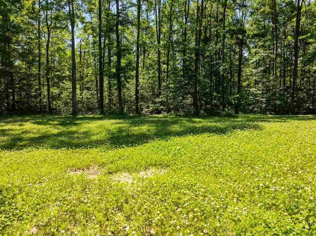 899 S State Rd, Harbor Springs, MI 49740 - view of green lawn