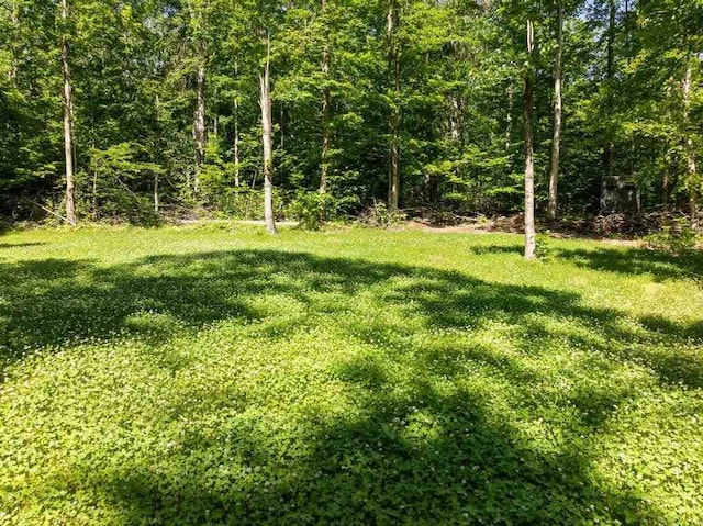 899 S State Rd, Harbor Springs, MI 49740 - view of green lawn