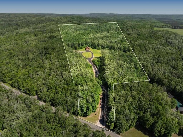 899 S State Rd, Harbor Springs, MI 49740 - aerial view of property and surrounding area featuring a forest and property parcel outlined