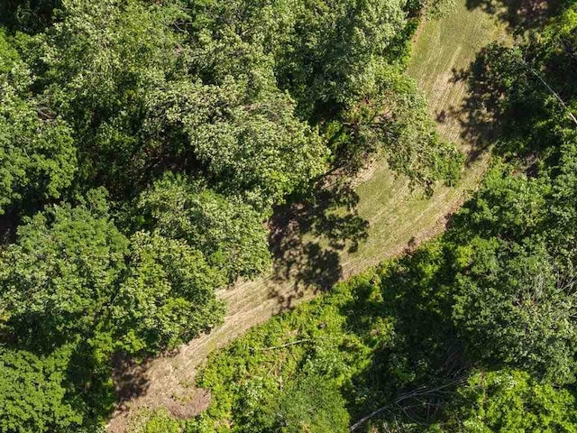 899 S State Rd, Harbor Springs, MI 49740 - view of property location