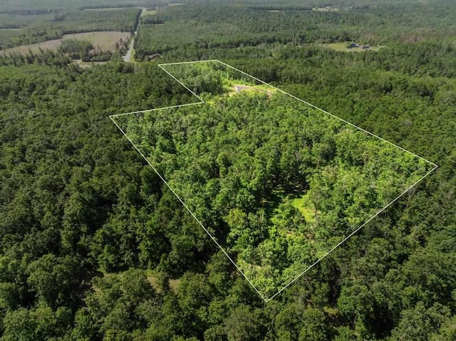 899 S State Rd, Harbor Springs, MI 49740 - aerial view of property and surrounding area featuring property parcel outlined and a heavily wooded area