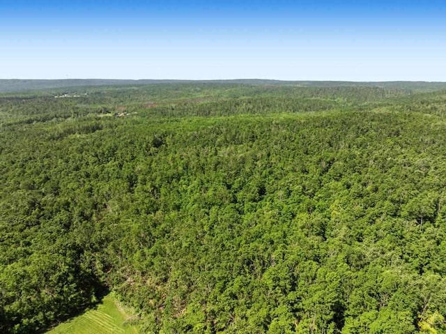 899 S State Rd, Harbor Springs, MI 49740 - aerial view of a forest